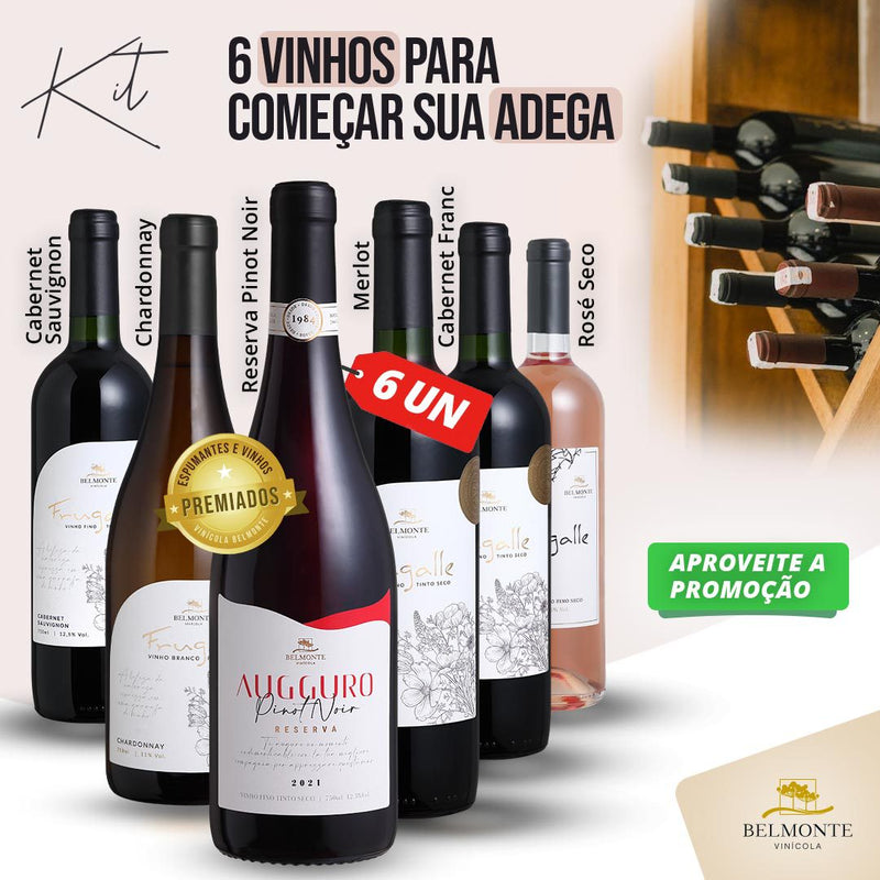 Kit 6 Vinhos
