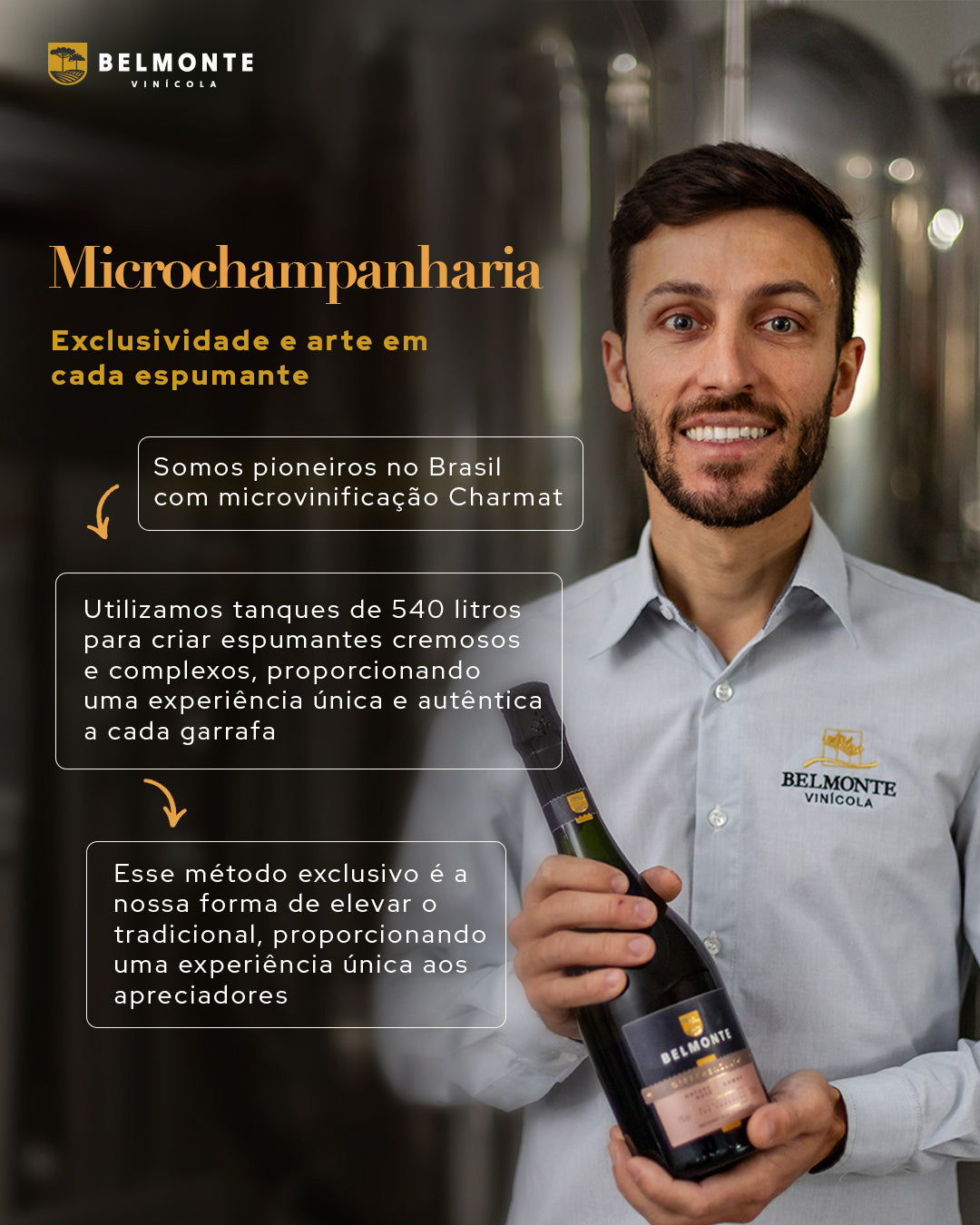 Espumante Moscatel Rosé 750ml Frugalle - Vinícola Belmonte