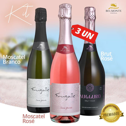 Kit 3 Vinos Espumosos